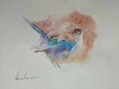 Fairy Wren, Birds, Watercolor artwork, Handmade, Original painting on paper