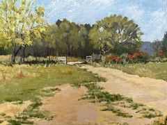 „My Daughter’s Texas Homestead“ original oil painting 16X20 in oil on canvas new
