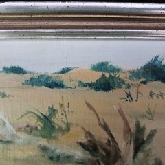 Maine Artist Carol Sebold Original Oil On Canvas- Driftwood On Sand Dune- 8″x6″