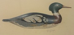 Original Bob Piscatori ‚RED BREASTED MERGANSER Benjamin Smith DECOY‘ Painting