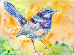 Blue bird art,Original watercolor painting, fairy Wren,nature lover best gift
