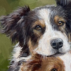 Australian Shepherds Original Acrylic Painting Pet Portrait Animals Dog 12×8 Ⓣ