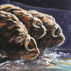 Edward „Ned“ Aldrich Wildlife Wall Art Oil Painting Musk Oxen In River 1985