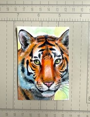 ACEO Original Tiger Painting OOAK Watercolor Mixed Media Wildlife Art Big Cat