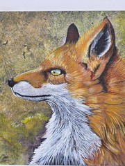Original Art Work Acrylic On Canvas Board Red Fox Profile OOAK Signed 12×9″
