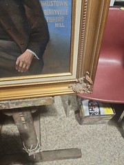 FRAMED LLOYD GARRISON ORIGINAL OIL Portrait of Civil War New York 5th Artillery