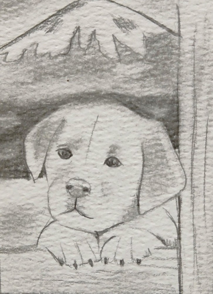 Aceo Pencil Sketch Art Card