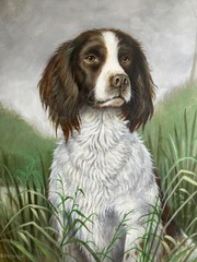 Vintage Oil Painting British Portrait of Faithful SPRINGER SPANIEL DOG Beautiful