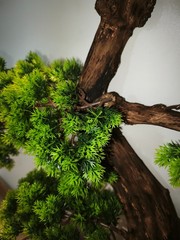 Large 3D Wooden BONSAI Art 110×117 cm – Handmade, Natural Wood, LED