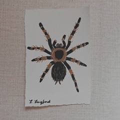 Original Spider Painting Small Acrylic on Handmade Cotton Paper Deckled Edge