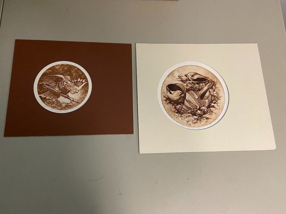 Bob Defrates Lot (2) Prints Shells And Things II /250 Roosting Cockatoo A/P