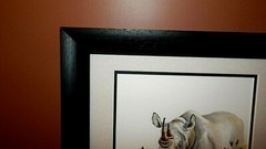 AFRICAN Rhinoceros Original Watercolor Painting, Vibrant, Detailed, Signed, Mint