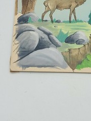 Heinz A.S.Kropp Original Artwork, Nature, Animal