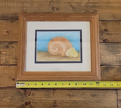 Beautiful Original Watercolor Seashells on Board Framed 10″ x 12″