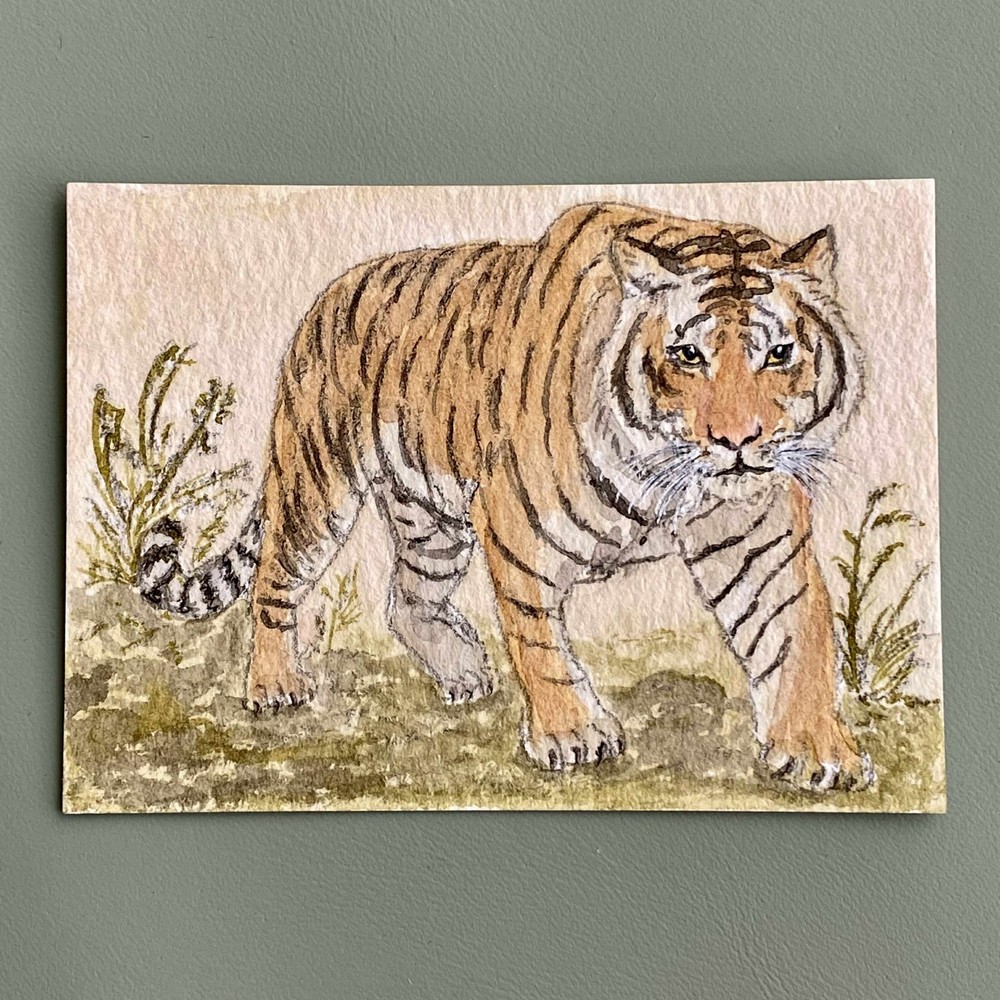 Original ACEO – Tiger – Watercolor Painting Big Cat Art Card (Felidae Series)