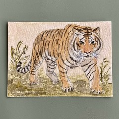 Original ACEO – Tiger – Watercolor Painting Big Cat Art Card (Felidae Series)