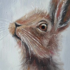 Original Oil Animal Painting Hare Portrait Wildlife Art Soft Ukrainian Artist