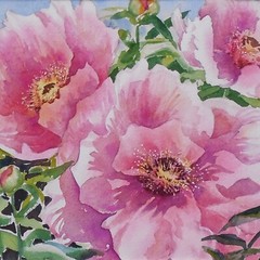 Jeanne Brenneman (American) Watercolor „Peonies“ Orig., Nice Technique, Signed