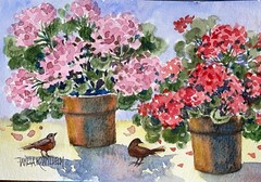 Pamela Wilhelm Original Floral Pots Geraniums Robin Birds Watercolor 5”x7”