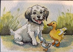 ACEO Original Watercolor „Little Companions“. Dog/Ducks Art Card. OOAK. Signed