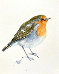 European Robin Watercolor Original Artwork Bird