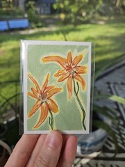 OOAK ACEO Original Floral Painting Orange Wildflowers Mini Acrylic Botanical Art