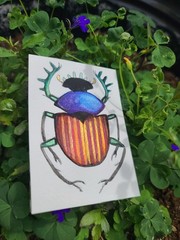 Original ACEO Watercolor – Beetle – Insects – Shayna Leib – #6/100- „Reginald“