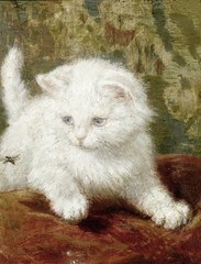 Vintage Oil Painting White Persian Kitten Cat Pet Portrait Antique Animals Art