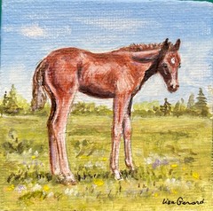 Original acrylic painting-on 3 by 3 inch flat canvas. Cute sorrel foal/horse