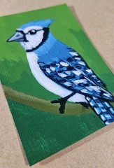 ACEO Blue Jay Mini Painting Original Blue Bird Acrylic Artwork Signed Art