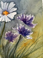 Daisies Wildflowers Watercolor Painting Gifts Wall Decor Abstract Chamomile