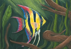 Original Gouache Angelfish Painting, Framed (9×12 Painting, 11×17 Frame)
