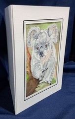 Australian Koala 7″ x 5″ Original watercolor comes in acid free sleeve