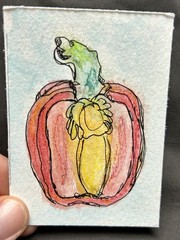 ACEO Original Art by C3 Design Goods – water color red pepper/line work
