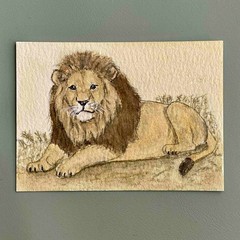 Original ACEO – Lion – Watercolor Painting Big Cat Art Card (Felidae Series)