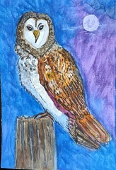 5 X 7 Inch Owl Under Moon Illustration Art Painting Blue & Purple Background