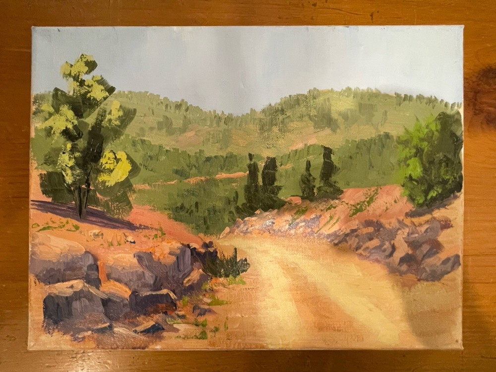 Small Realism Portrait Oil Painting 9”x12” Original Southwest Trail