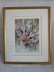 Cute Original Mary Rochford Watercolor Australian Pygmy Possums & Banksia Signed
