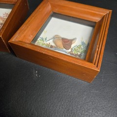 Joseph Quinn Whipple Abercrombie & Fitch 3D SHADOWBOX Pair Birds Woodcock Quail
