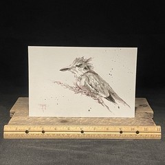 SHRUM King Fisher Acrylic Wash Bird Painting 6×9 Mixed Media Art