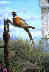Art Giclee Printed Oil Painting Print Pheasant Picture Canvas