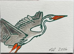 aceo original art by Emily Beck, Linocut, watercolor, blue heron, 2.5 x 3.5