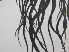 Signed Large Drawing Cristina Bullio Female Portrait Black Hair c5 50×70 cm
