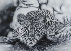 Original leopard oil painting black and white