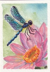 ACEO Original Dragonfly Lotus Flower Whimsical Watercolor Painting by K Jackson