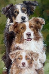 Australian Shepherds Original Acrylic Painting Pet Portrait Animals Dog 12×8 Ⓣ