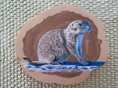 original acrylic and ink painting on cedar by Cris Arbo: prairie dog