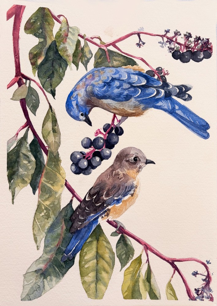 Original Watercolor Painting „Two Songbirds on a Berry Branch“ 8.3 x 11.7