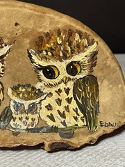 Hand Painted Owl Family On Conk Shelf Fungus With 6” X 3.75” Signed