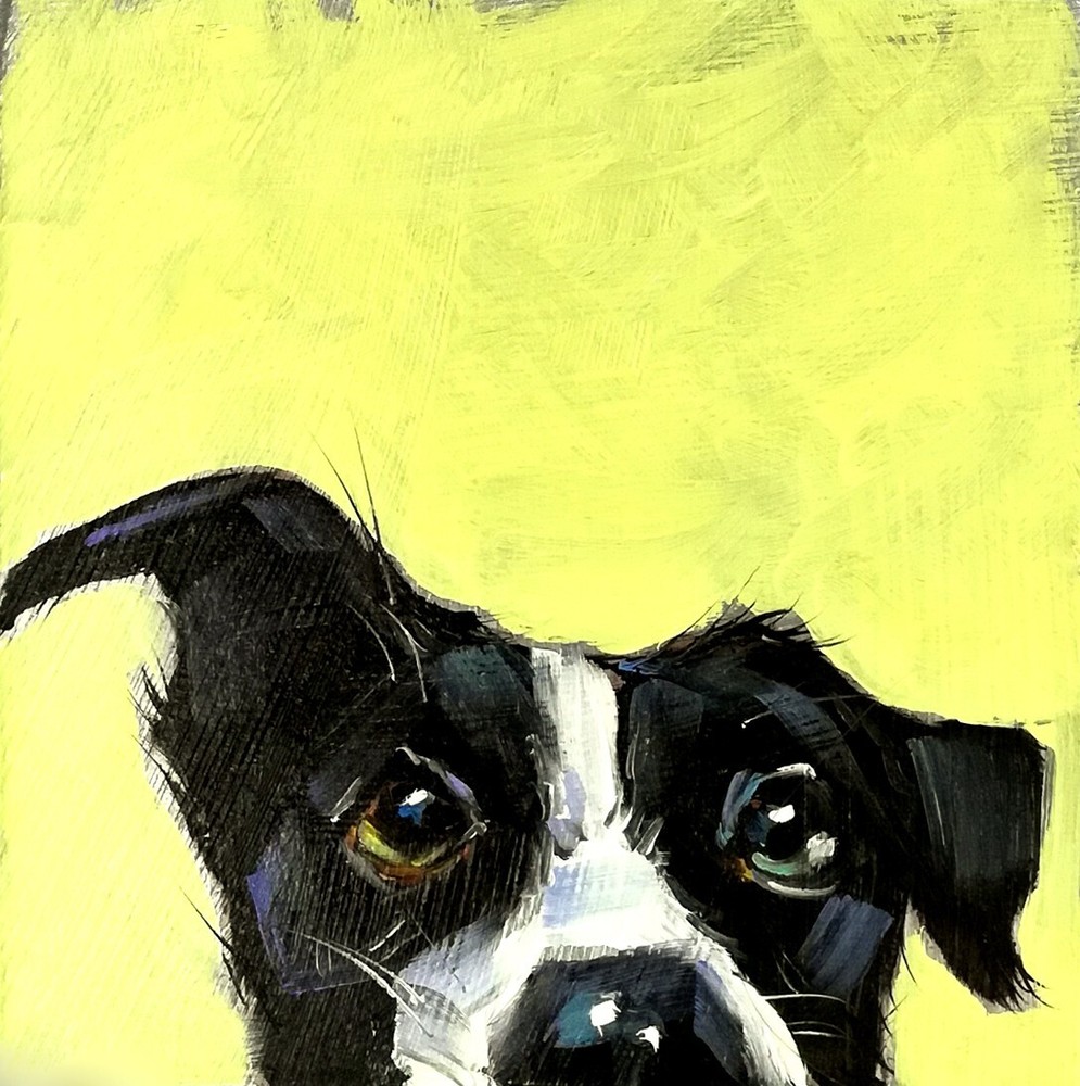 Original Oil Painting Dog Funny Animals Pet Portrait Signed Custom Artwork